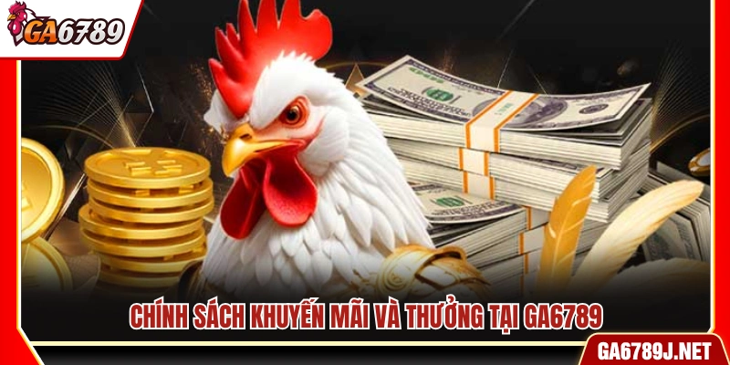 Chính sách khuyến mãi và phần thưởng