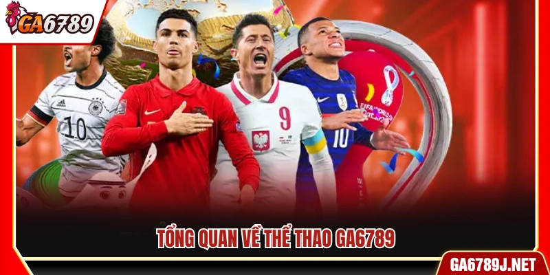 Khái quát về sảnh thể thao