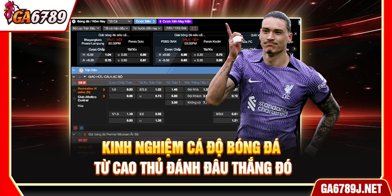 Kinh Nghiệm Cá Độ Bóng Đá Từ Cao Thủ Đánh Đâu Thắng Đó 10 Kinh Nghiệm Cá Độ Bóng Đá Từ Cao Thủ Đánh Đâu Thắng Đó