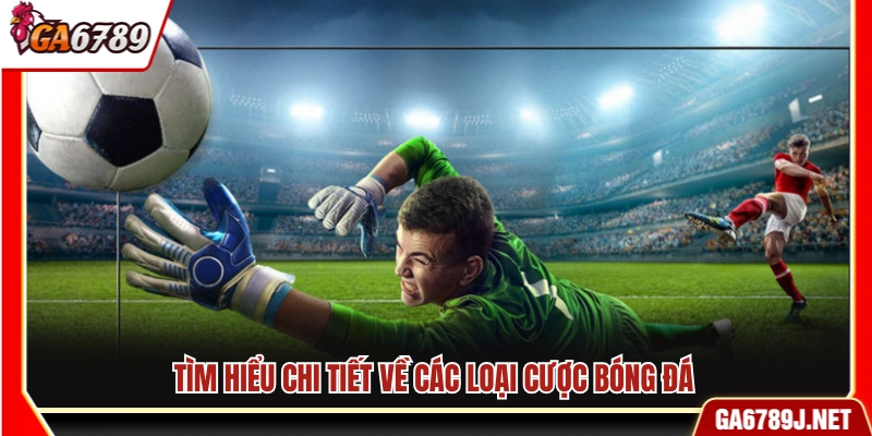 Kinh Nghiệm Cá Độ Bóng Đá Từ Cao Thủ Đánh Đâu Thắng Đó 11 Khám phá chi tiết các loại cược trong bóng đá