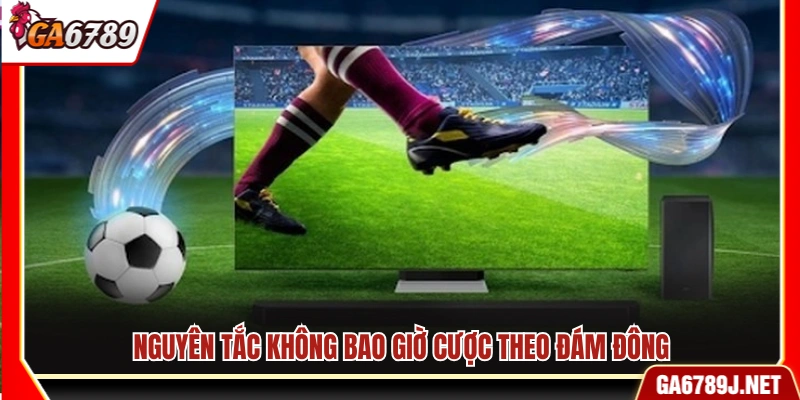 Kinh Nghiệm Cá Độ Bóng Đá Từ Cao Thủ Đánh Đâu Thắng Đó 12 Kinh nghiệm cá độ bóng đá không cược theo đám đông