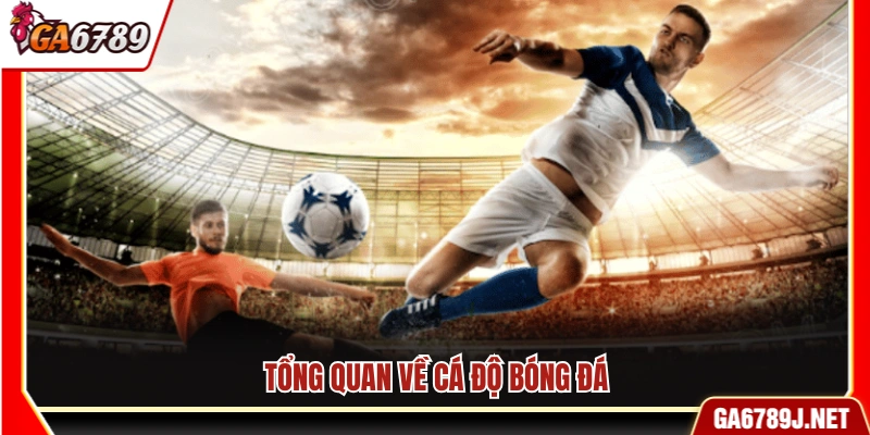 Kinh Nghiệm Cá Độ Bóng Đá Từ Cao Thủ Đánh Đâu Thắng Đó 10 Tìm hiểu tổng quan về cá độ bóng đá