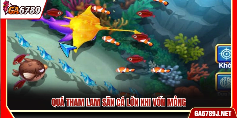 Bật Mí Mẹo Bắn Cá Hay Giúp Tăng Tỷ Lệ Ăn Xu Nhanh Tại Ga6789 12 Tham bắn cá lớn khi số vốn còn ít